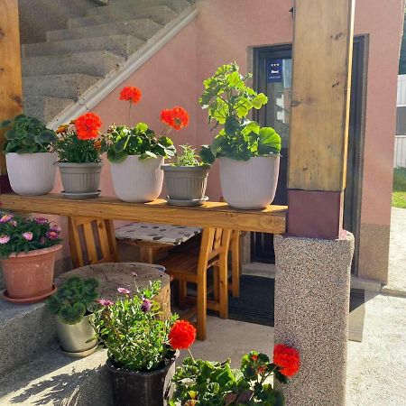 Apartman Kaljevic Leilighet Žabljak Eksteriør bilde
