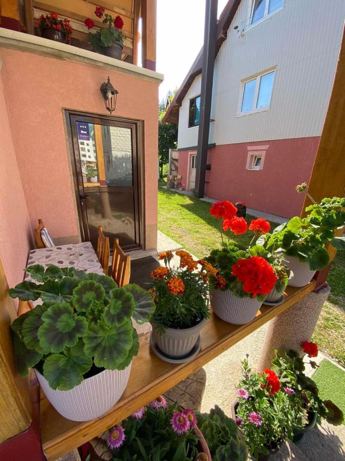 Apartman Kaljevic Leilighet Žabljak Eksteriør bilde